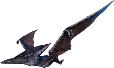 pteranodon dododex